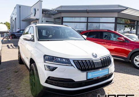 Skoda Karoq, 2019