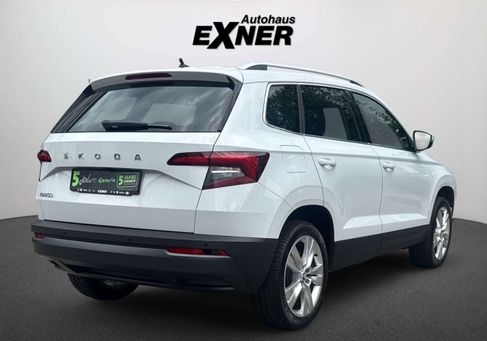Skoda Karoq, 2020