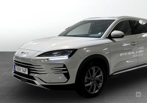 BYD, 2024