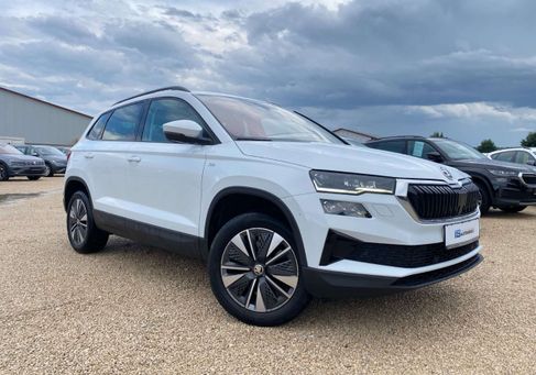 Skoda Karoq, 2022 3