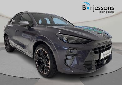 Cupra, 2025