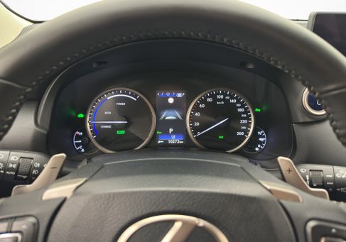 Lexus NX, 2019