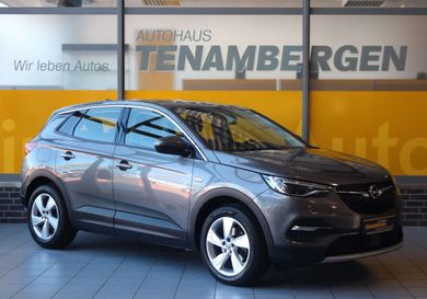 Opel Grandland X, 2020