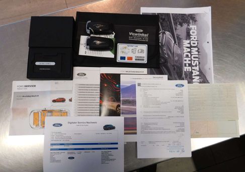 Ford Mustang Mach-E, 2022