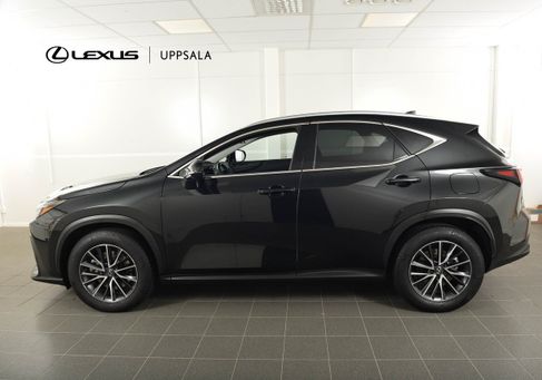 Lexus NX, 2024 3