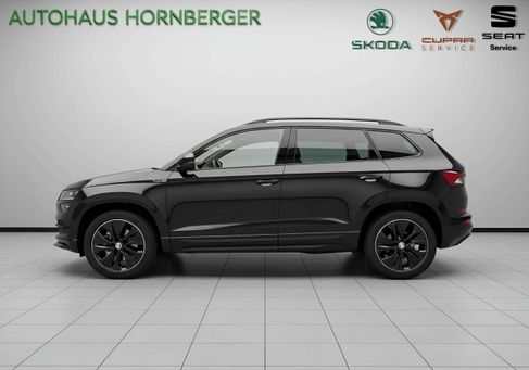 Skoda Karoq, 2023 2