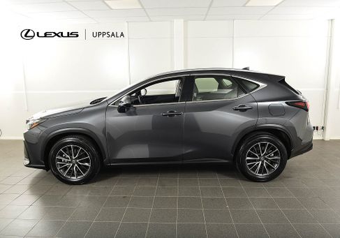 Lexus NX, 2025