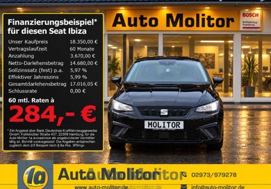 Seat Ibiza, 2025
