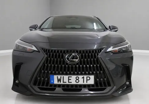 Lexus NX, 2022