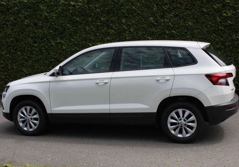 Skoda Karoq, 2020
