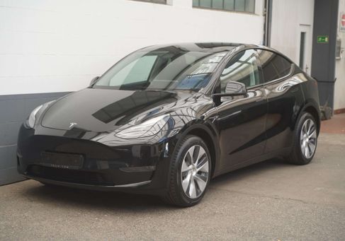 Tesla Model Y, 2021 3