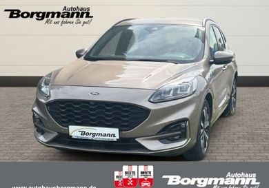 Ford Kuga, 2020
