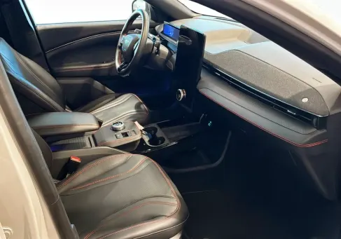 Ford Mustang Mach-E, 2021 3