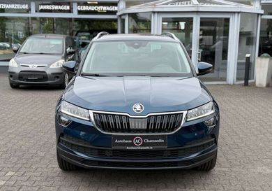 Skoda Karoq, 2021
