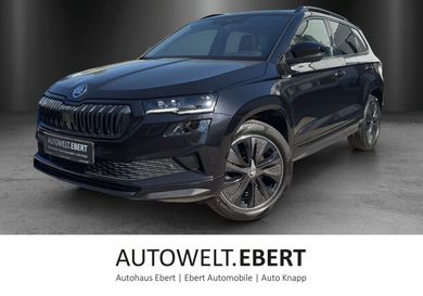 Skoda Karoq, 2023