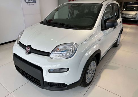 Fiat Panda, 2025