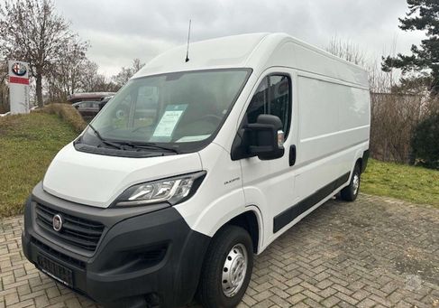 Fiat Ducato, 2019