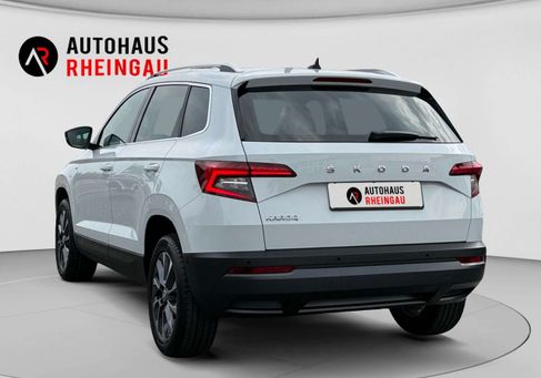 Skoda Karoq, 2020