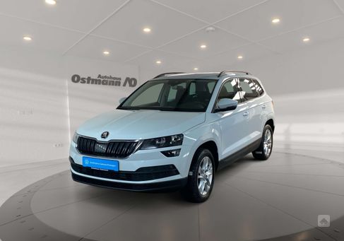 Skoda Karoq, 2020