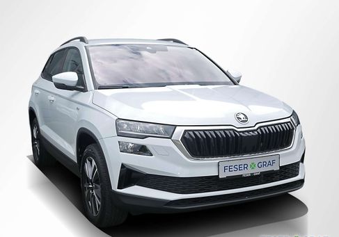 Skoda Karoq, 2023