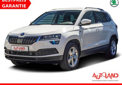 Skoda Karoq, 2019