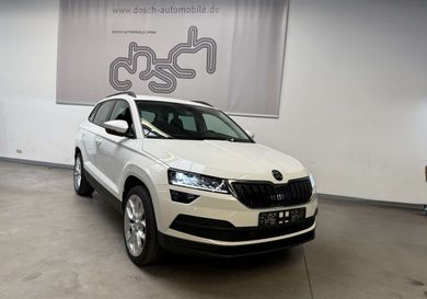 Skoda Karoq, 2020