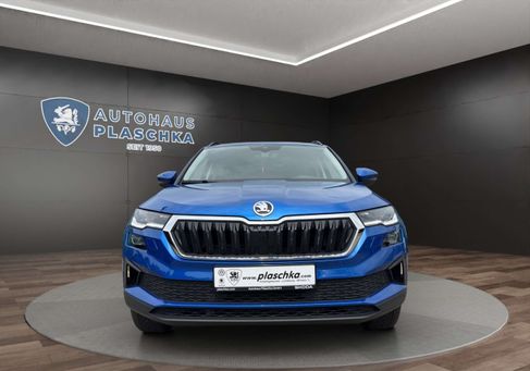 Skoda Karoq, 2024