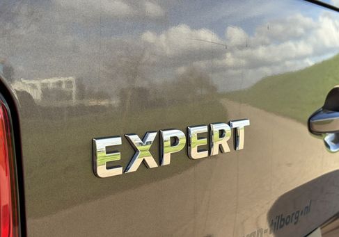 Peugeot Traveller, 2017