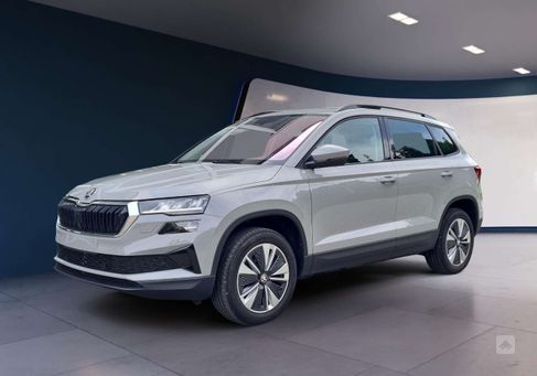 Skoda Karoq, 2024