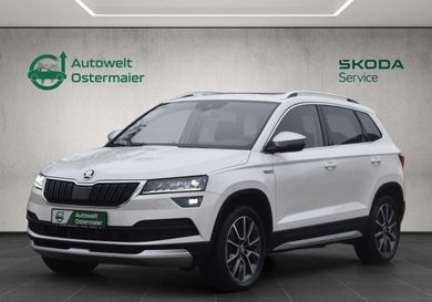 Skoda Karoq, 2019