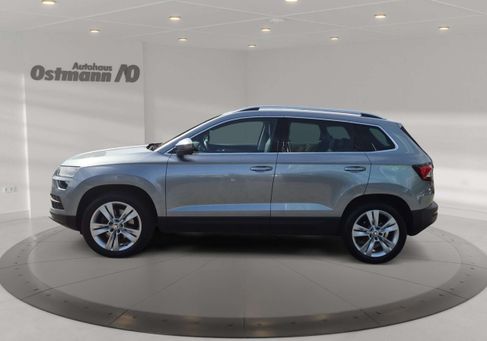 Skoda Karoq, 2019