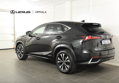 Lexus NX, 2021
