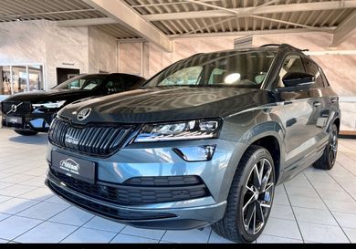 Skoda Karoq, 2020