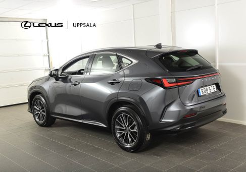 Lexus NX, 2025