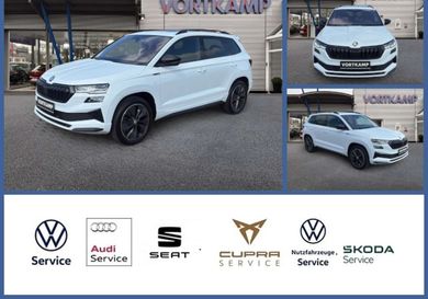 Skoda Karoq, 2022