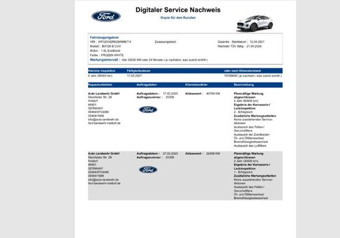 Ford Puma, 2021 3