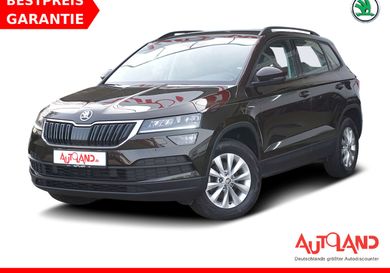 Skoda Karoq, 2021
