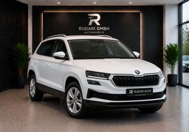 Skoda Karoq, 2023