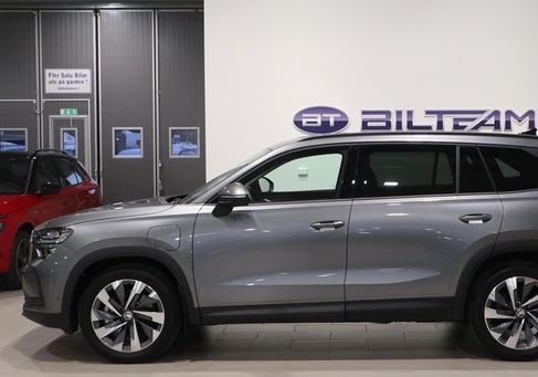 Skoda Kodiaq, 2024
