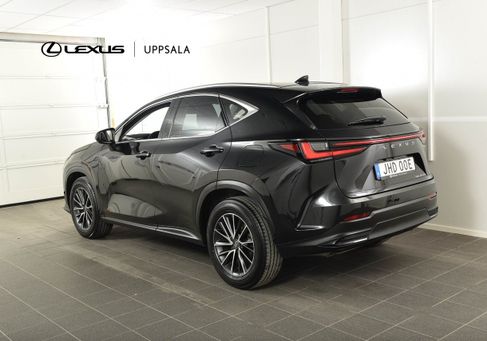 Lexus NX, 2024