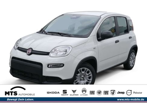 Fiat Panda, 2024