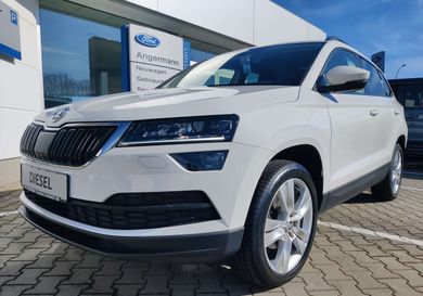 Skoda Karoq, 2019