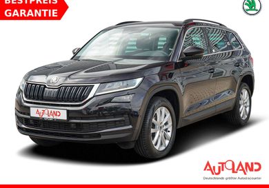 Skoda Kodiaq, 2020