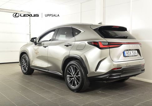Lexus NX, 2025 3
