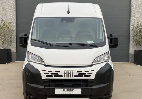 Fiat, 2024