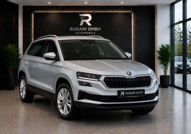 Skoda Karoq, 2022