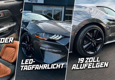 Ford Mustang, 2018
