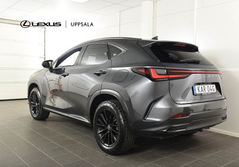 Lexus NX, 2025