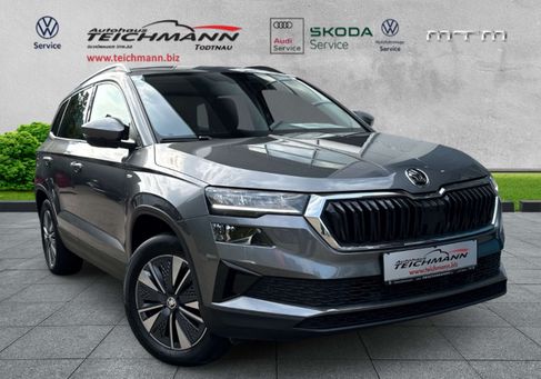 Skoda Karoq, 2023