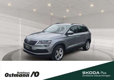 Skoda Karoq, 2019